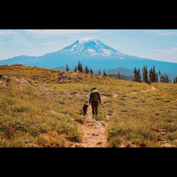 Meet your Posher, Julia - Picture 1 of 1